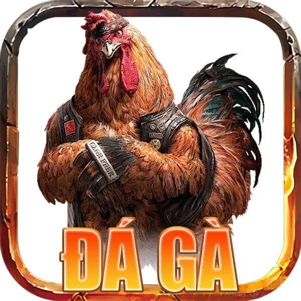 đá gà
